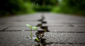 A Tiny Progress Mindset for Lasting Wellness